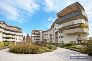 Q155, BERGAMO